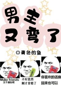 男主又弯了 [参赛作品]