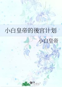 小白皇帝的後宮計劃